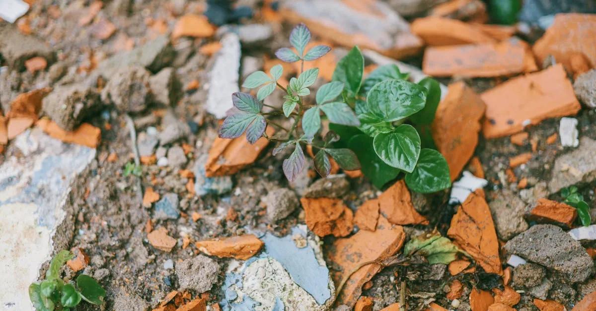 découvrez des méthodes efficaces pour prévenir le tassement différentiel dans les sols argileux, assurant la stabilité et la durabilité de vos constructions.