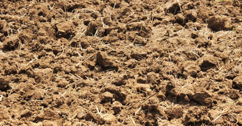 découvrez des méthodes efficaces pour prévenir les tassements différentiels sur sol argileux et assurer la stabilité durable de vos constructions.