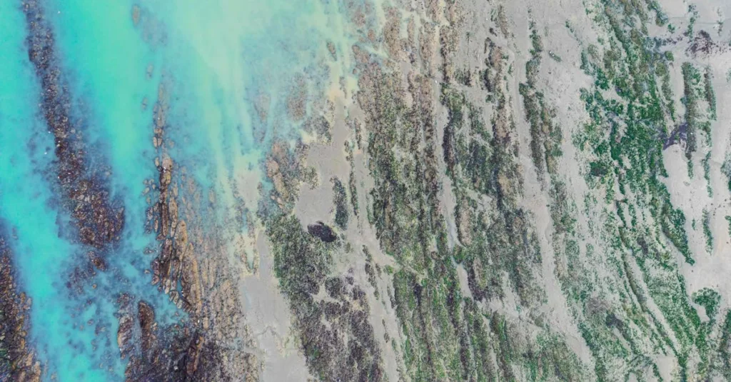 découvrez la méthode de coffrage, une technique essentielle en construction pour créer des moules solides et précis avant le coulage du béton, garantissant la qualité et la durabilité des structures.