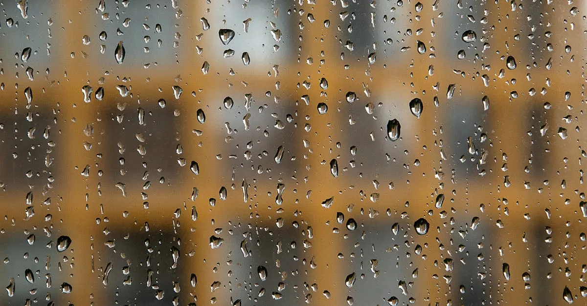 découvrez comment prévenir la condensation dans l'isolation des murs intérieurs pour garantir une maison saine et protéger vos structures contre l'humidité et les moisissures.