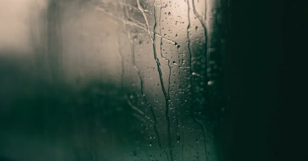 découvrez comment prévenir la condensation dans l'isolation des murs intérieurs pour assurer un environnement sain et durable dans votre logement.