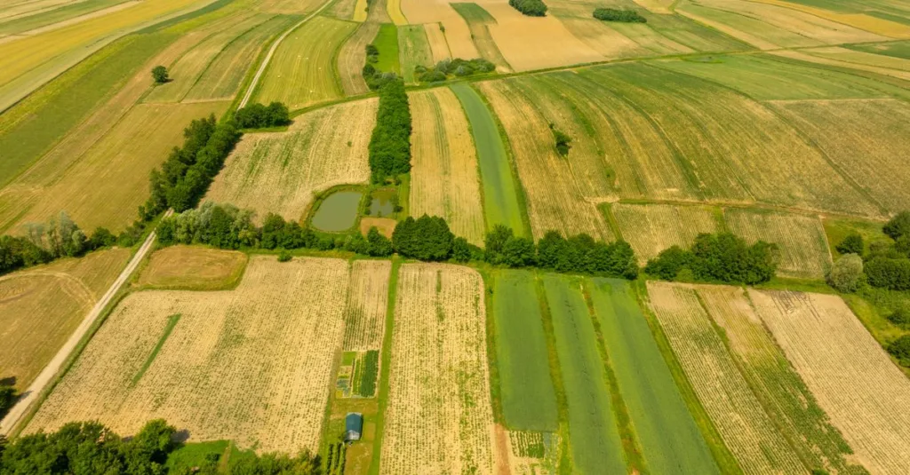 découvrez l'agriculture écologique : une approche durable qui respecte la biodiversité, préserve les sols et minimise l'impact environnemental pour nourrir la planète de manière responsable.