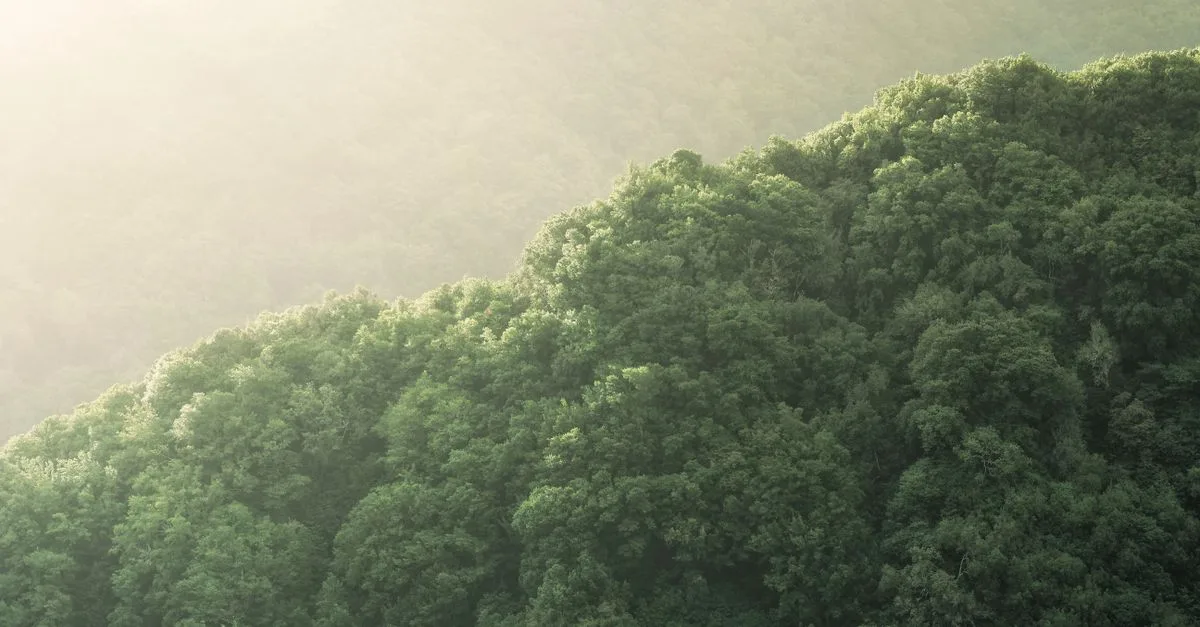 découvrez les régulations environnementales essentielles pour protéger la nature et assurer un développement durable.
